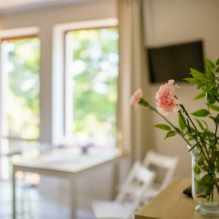 Bed & Breakfast Przystan Przy Lesie