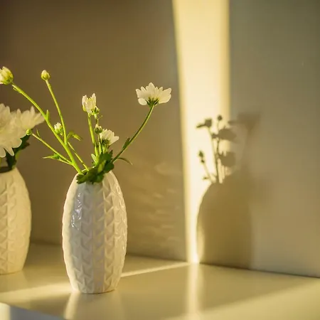 Przystan Przy Lesie Jantar