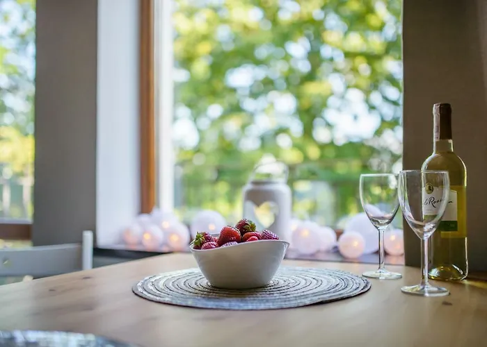 Przystan Przy Lesie Отель типа 