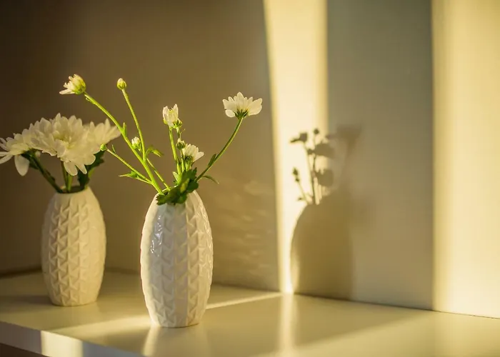 Przystan Przy Lesie Янтар