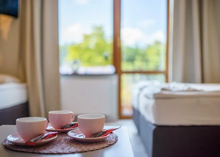 Przystan Przy Lesie Отель типа 