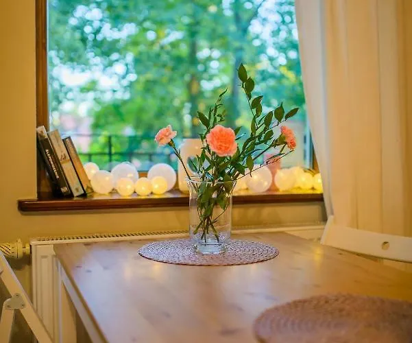 Przystan Przy Lesie Янтар