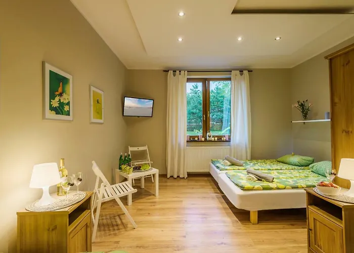 Przystan Przy Lesie Отель типа 