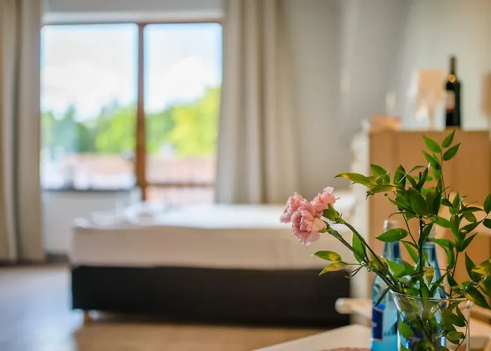 Przystan Przy Lesie Отель типа 